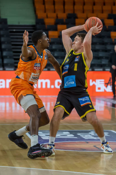 而闻名的新 而闻名的新